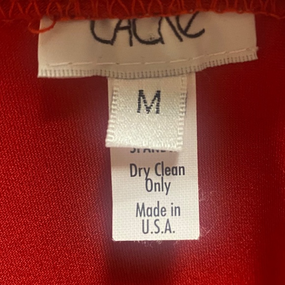 Red Dress - Picture 3 of 3